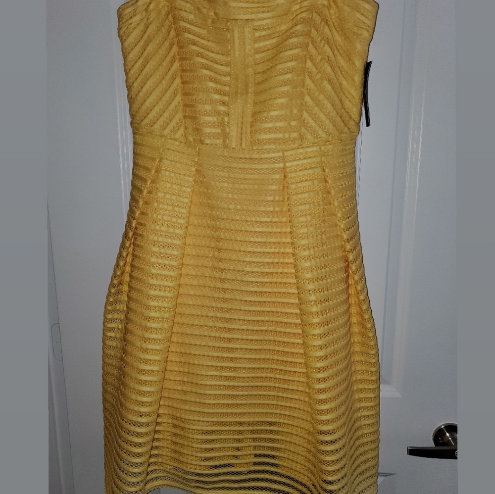 New/Never Worn Strapless Striped Mesh Dress